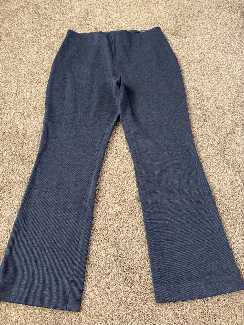 Talbots NWT Montauk Pants, Blue Size 6